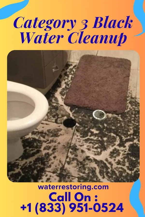 Category 3 Black Water Cleanup in Pomona Park, FL